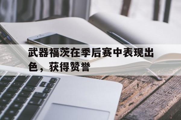 爱游戏网页版登录界面-武器福茨在季后赛中表现出色，获得赞誉